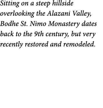 Sitting on a steep hillside overlooking the Alazani Valley  Bodhe St  Nimo Monastery dates back to the 9th century  b   