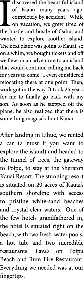I discovered the beautiful island of Kauai many years ago  completely by accident  While on vacation  we grew tired o   