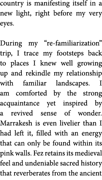 country is manifesting itself in a new light  right before my very eyes  During my  re-familiarization  trip  I trace   