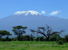 How Climbing Kilimanjaro Changes Your Perspective on Adventure Kilimanjaro