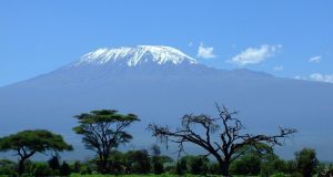 How Climbing Kilimanjaro Changes Your Perspective on Adventure Kilimanjaro