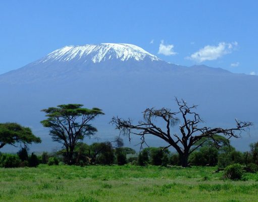 How Climbing Kilimanjaro Changes Your Perspective on Adventure Kilimanjaro