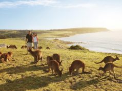 VISIT KANGAROO ISLAND