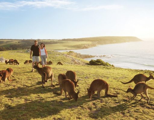 VISIT KANGAROO ISLAND