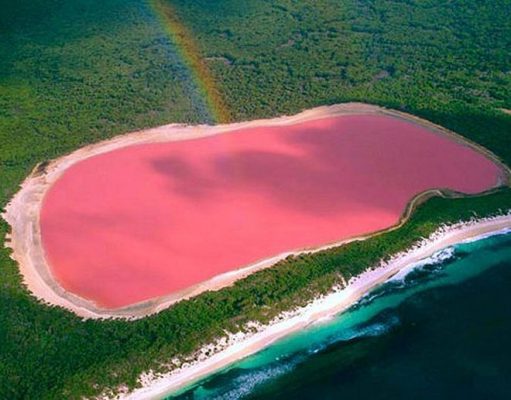 Discover the Magic of Western Australia’s Stunning Pink Lake