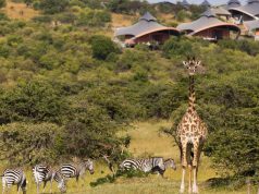 Summer vacations with a difference from Virgin Limited Edition journey through Kenya and Tanzania