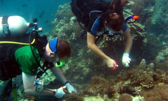 Marine Conservation Project in Thailand