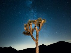 Stargaze Under a “Dark Sky” in the California Deserts