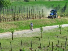 When in Romania, do as the Transylvanians do