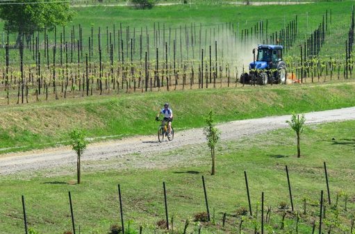 When in Romania, do as the Transylvanians do