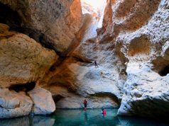 Take a Walk on the Wild Side in Oman