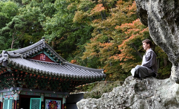 Korea Wellness Tourism