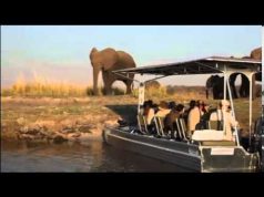 Photo Safari in The Chobe, Botswana