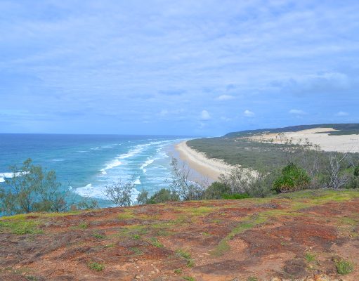 5 Beaches You Need to see in Australia