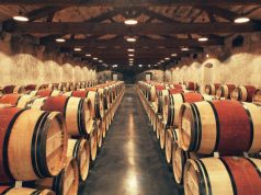 SmoothRed unveils luxury honeymoons for wine-lovers in France and Spain Château-du-Tertre_Chais