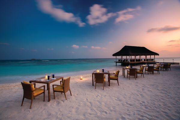 beach-dining-tropical