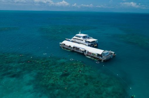 Tourism renaissance for Tropical North Queensland Sunlover-Reef-Cruises Arlington Reef