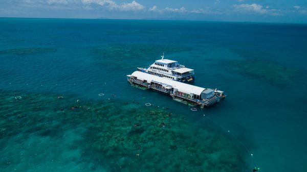 Sunlover-Reef-Cruises Arlington Reef