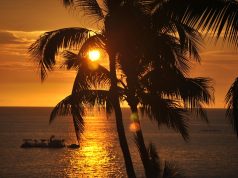 WHAT’S NEW IN THE HAWAIIAN ISLANDS Looking Ahead to 2018 hawaii