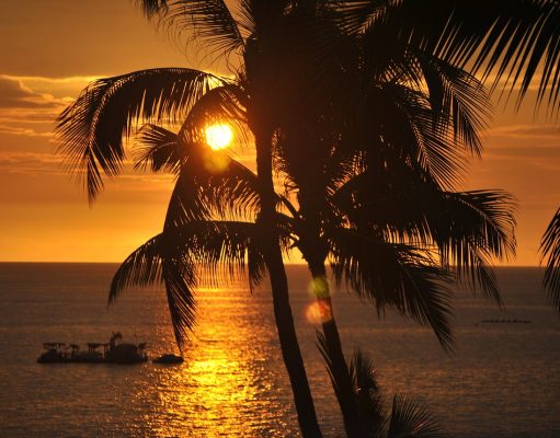 Which Hawaiian Island Is Right for You? A Guide to Choosing the Best Island hawaii