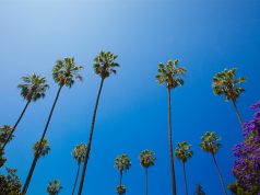 The Meghan Markle Guide to L.A.