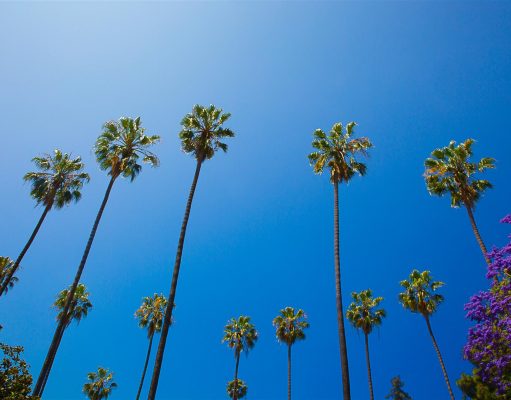 The Meghan Markle Guide to L.A.