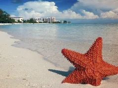 Move Over Times Square and Sydney Harbour – Booking.com Presents Alternative Places to Ring in the New Year