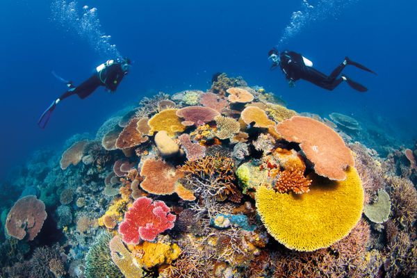 Great Barrier Reef