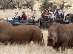 Extraordinary Journeys – Collection Of Conservation-Focused Safaris Lewa-Wilderness-Rhinos