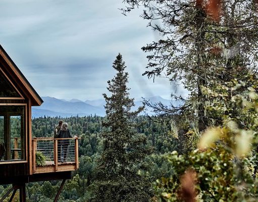 Princess Cruises Invites Guests to Play in the Trees This Summer Mt. McKinley Princess Wilderness Lodge