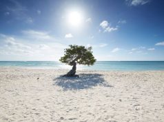 Stay in the Running With a Holiday in Aruba Aruba