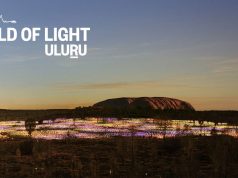Successful Field of Light Uluru Shines on Into 2020