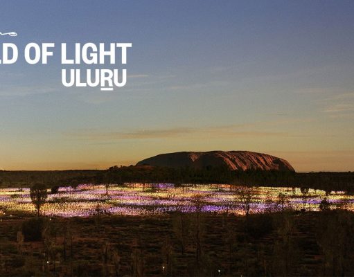 Successful Field of Light Uluru Shines on Into 2020
