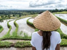 Rising Demand for Worldwide Travel as the Experience Economy Continues to Thrive