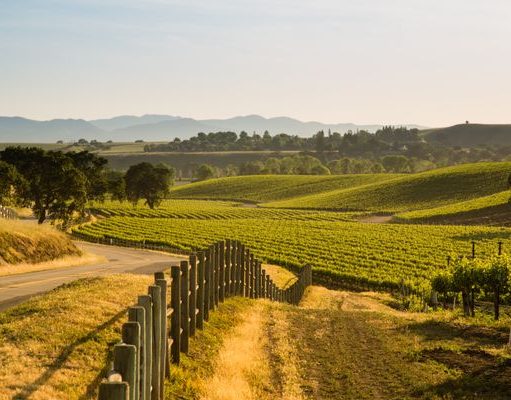 Tour the Tracks of UCI Cyclists on Grand American Adventures’ New California Cycling Vacations cycling vacation