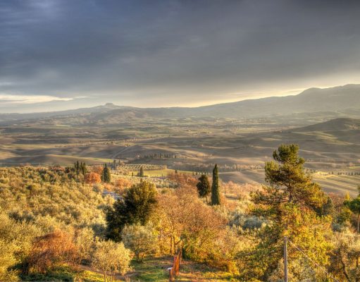The 10 best Campings and Touristic Villages for art cities: the Camping Siena Colleverde in Siena (SI) wins the price Art City 2018