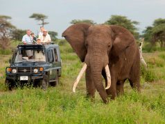 Get Wild This Green Season with Natural Habitat Adventures