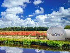 Wake up in a field of Dutch tulips The Tulip Pod at Keukenhof