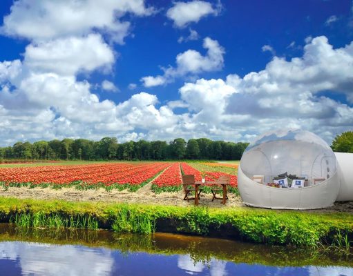 Wake up in a field of Dutch tulips The Tulip Pod at Keukenhof