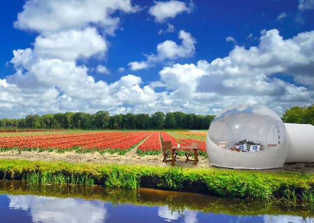 The Tulip Pod at Keukenhof