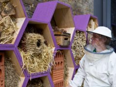 Show Me The Honey… Urban Beekeeping Workshops at St Ermin’s Hotel!