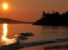 Tide to Table: Tofino Resort + Marina offers guests the fundamentals of freediving and marine-harvesting Tide to Table: Tofino Resort + Marina