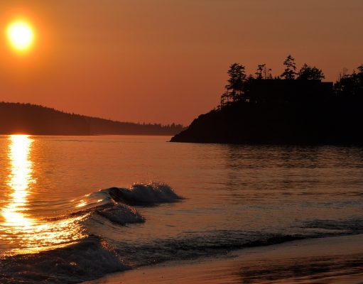 Tide to Table: Tofino Resort + Marina offers guests the fundamentals of freediving and marine-harvesting Tide to Table: Tofino Resort + Marina