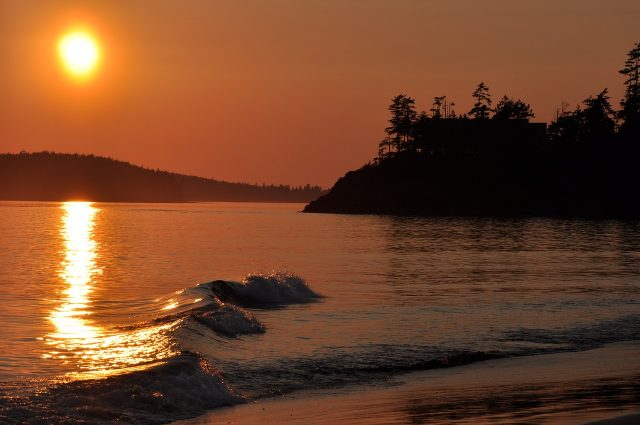 Tide to Table: Tofino Resort + Marina