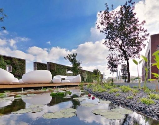 Top 3 Spas In The Holy Land For A Luxurious Vacation