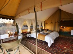 5-star Safari Outfitter Hayward’s to Host Select Expeditions into the Kruger National Park
