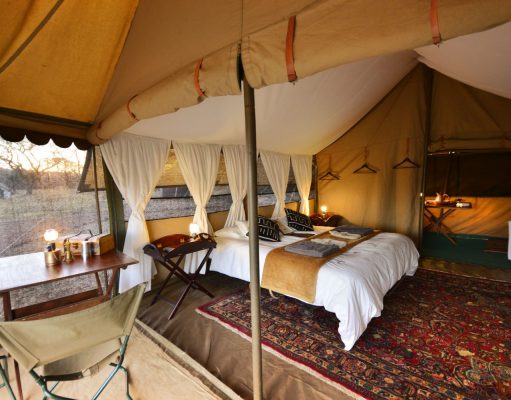 5-star Safari Outfitter Hayward’s to Host Select Expeditions into the Kruger National Park