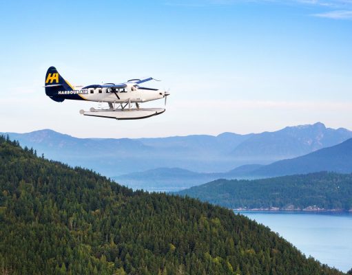 Fly direct to the heart of Tofino