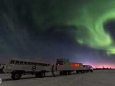 Discover the Unspoiled Beauty of Churchill Year Round