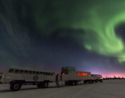 Discover the Unspoiled Beauty of Churchill Year Round